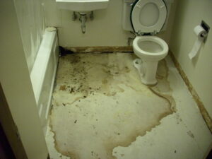 Clogged Toilet